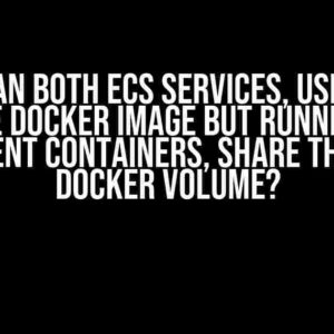 How can both ECS services, using the same Docker image but running in different containers, share the same Docker volume?