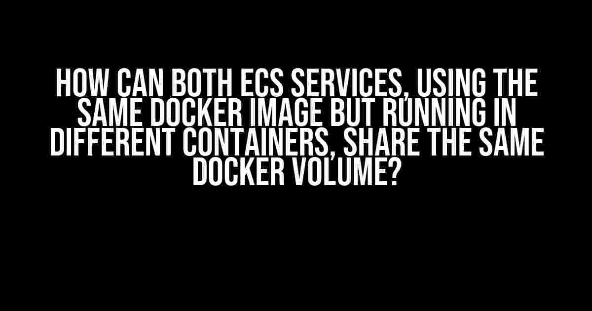 How can both ECS services, using the same Docker image but running in different containers, share the same Docker volume?